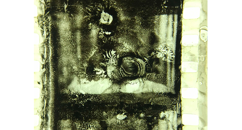 A section of the 35 mm reel of Ponmani shows the loss of images, leaving only a part of a face visible. Courtesy of Asian Film Archive.